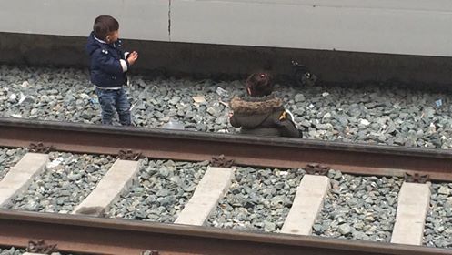 Στ. Λαρίσης, προσφυγόπουλα στις σιδηροδρομικές γραμμές 05/04/2019